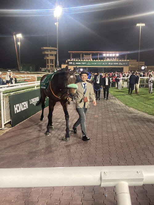 サウジCのパドックを歩くサンライズジパング（撮影・太田尚樹）
