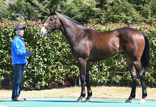 大山ヒルズ　ベルカント22（2024年3月27日撮影）