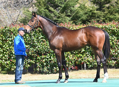 大山ヒルズ　セレブラール22（2024年3月27日撮影）