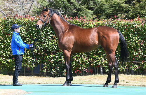 大山ヒルズ　ファイネストシティ22（2024年3月27日撮影）