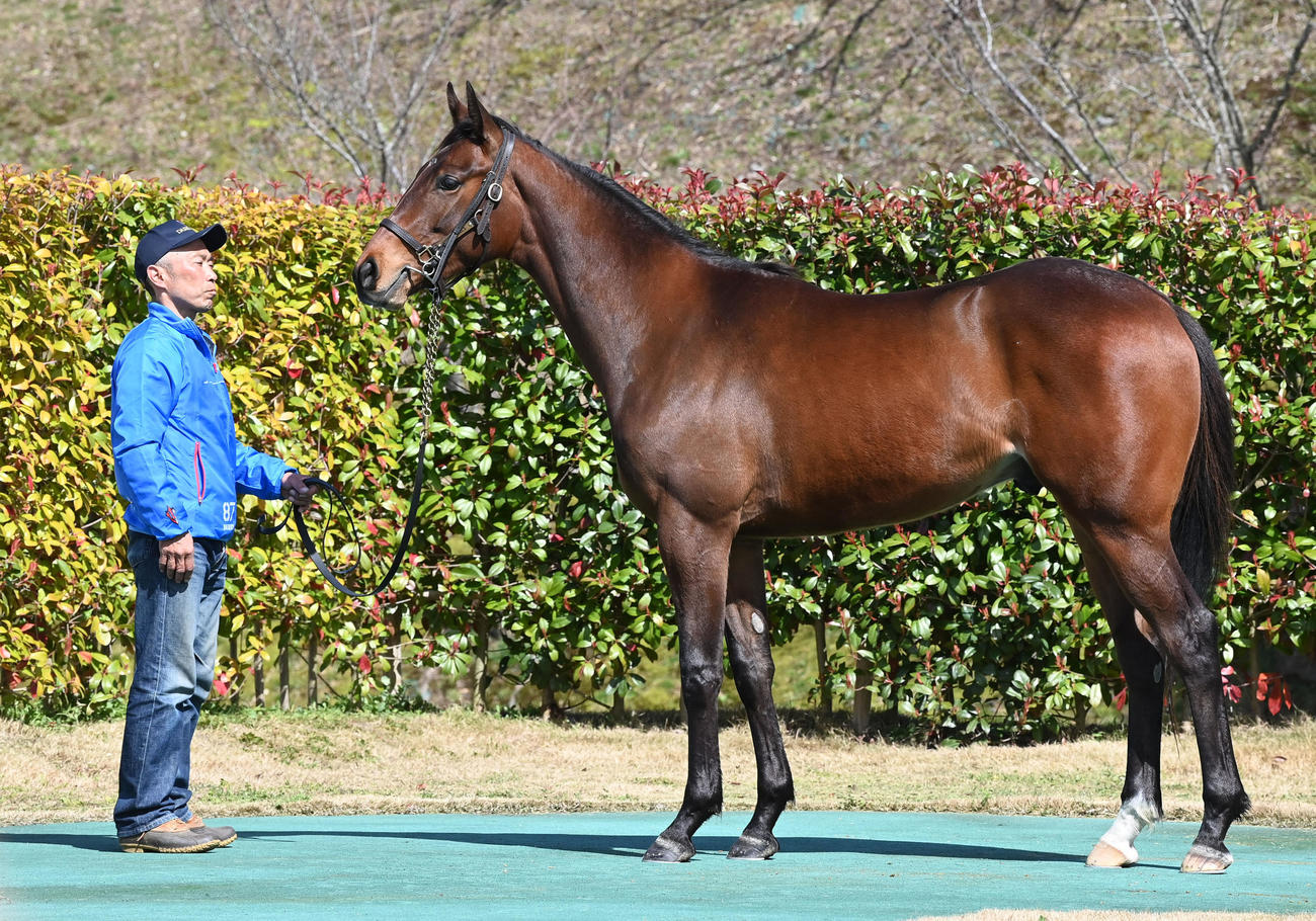 大山ヒルズ　Amour Briller22（2024年3月27日撮影）