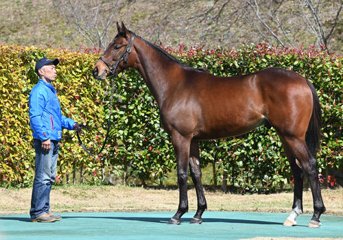 大山ヒルズ　Amour Briller22（2024年3月27日撮影）