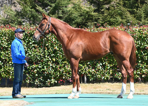 大山ヒルズ　リトルアマポーラ22