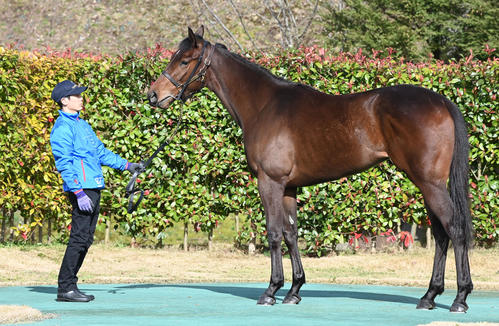 大山ヒルズ　Tiz Miz Sue22