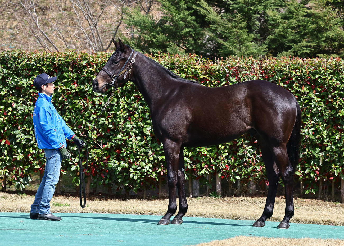 大山ヒルズ　セラン23