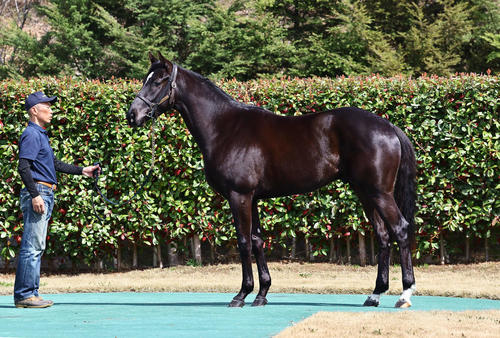 大山ヒルズ　ヴェントス23