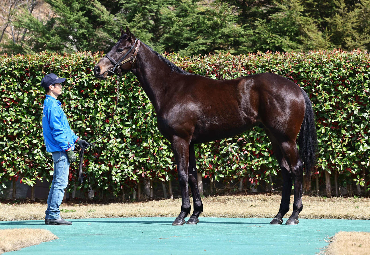 大山ヒルズ　ドリームジョブ23