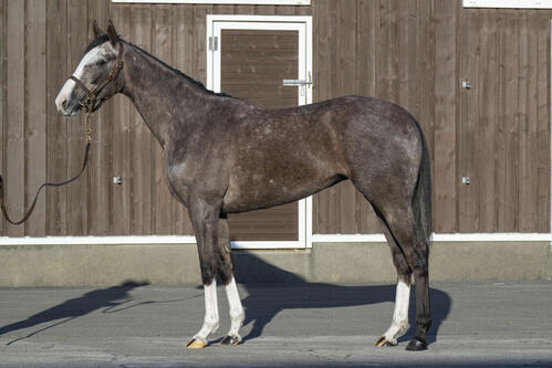 アドマイヤミヤビの24
