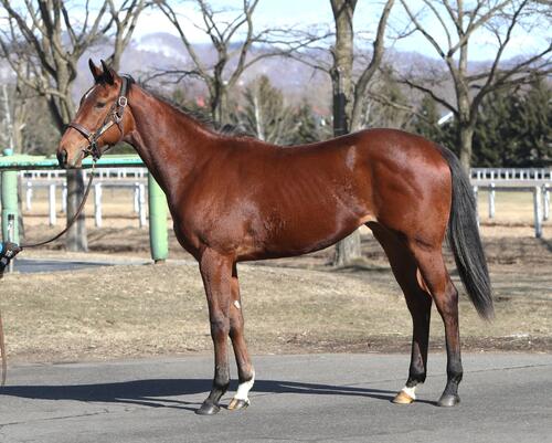 ノットオーソリティの24