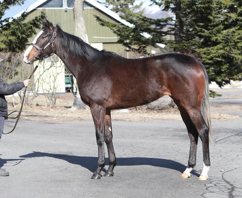 シアードラマの24