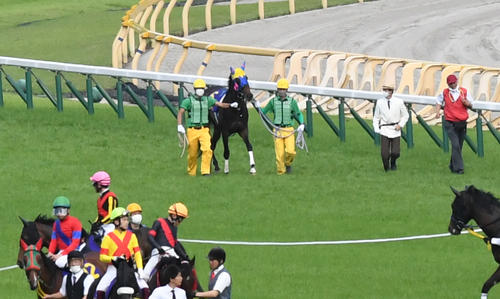 5月22日、オークスの発走前に保護されたサウンドビバーチェ