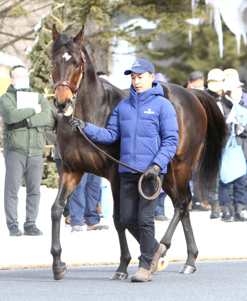 2月、社台SS種牡馬展示会でお披露目されたサートゥルナーリア
