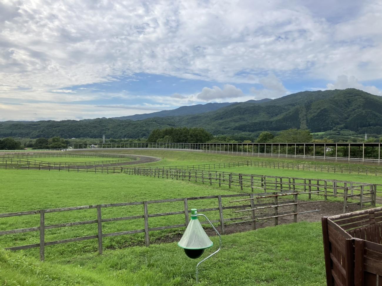 ノルマンディーファーム内放牧地と山々