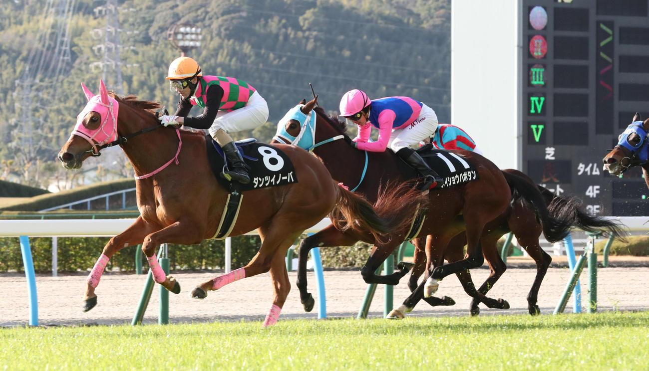 13日、ダンツイノーバと秋山騎手は直線で抜け出し小郡特別を制す