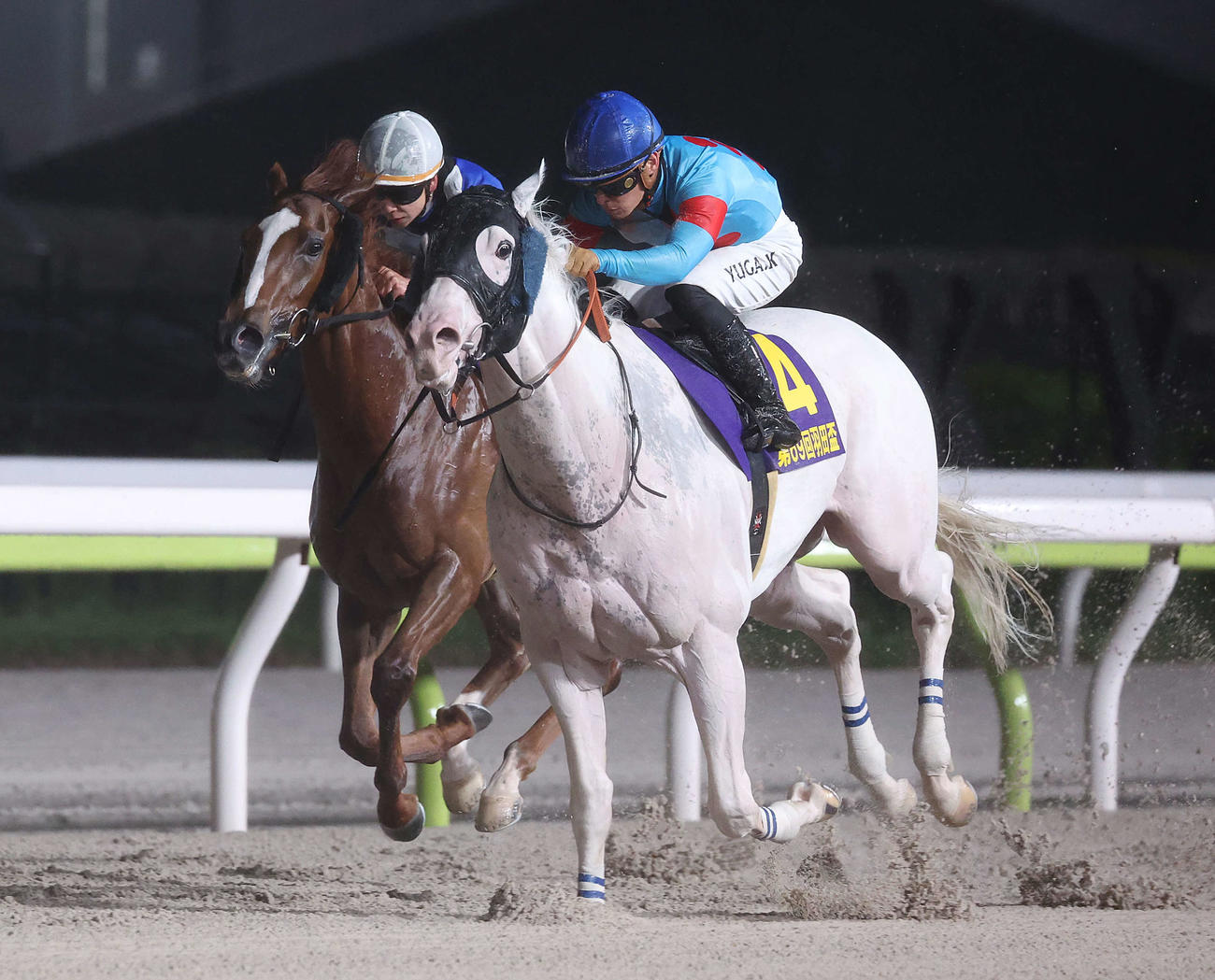 3歳ダート3冠の1冠目羽田盃を制した白毛馬のアマンテビアンコ（右）