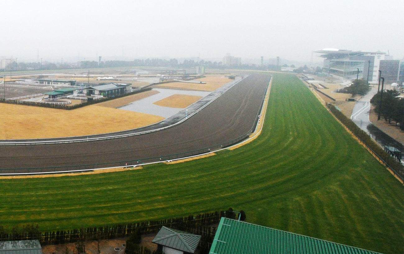 中京競馬場（2017年撮影）