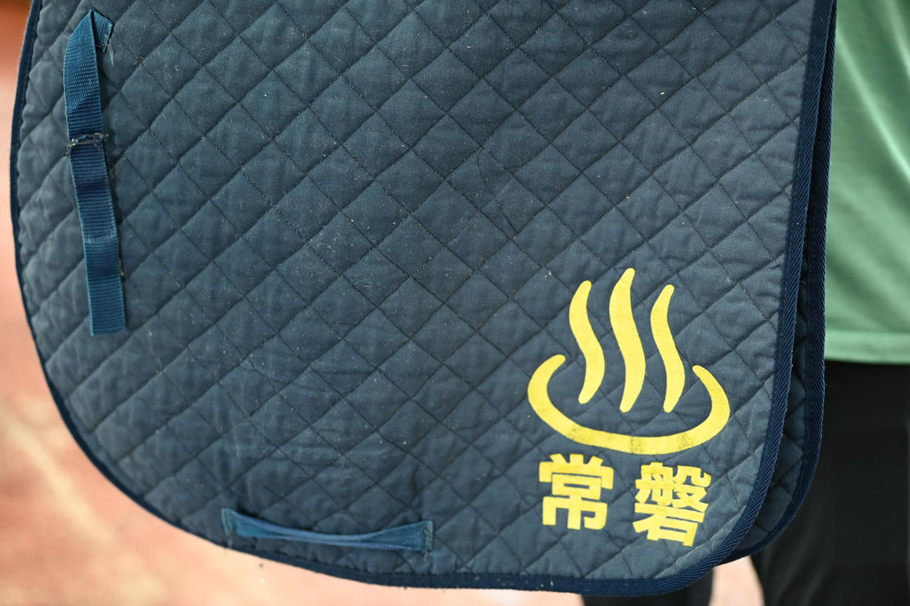 温泉マークの馬具