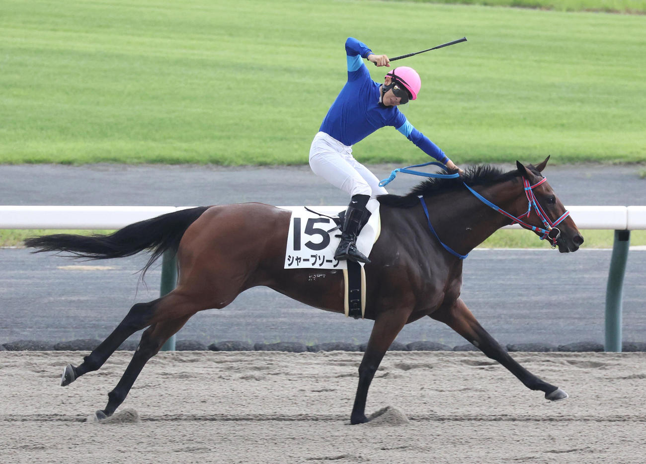 9月29日の中京6R、シャープソーンでJRA初勝利を挙げた橋木騎手