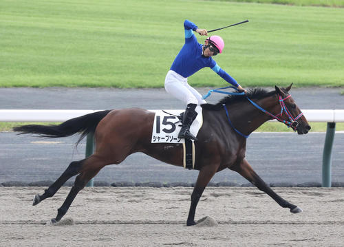 9月29日の中京6R、シャープソーンでJRA初勝利を挙げた橋木騎手