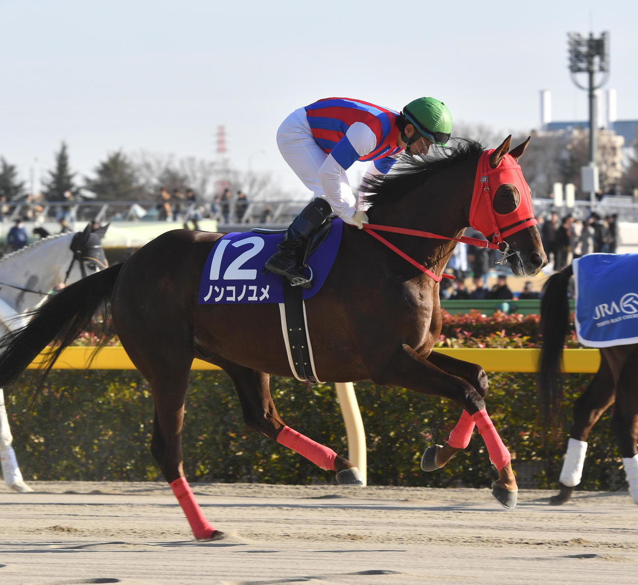 2018年フェブラリーSを制したノンコノユメ