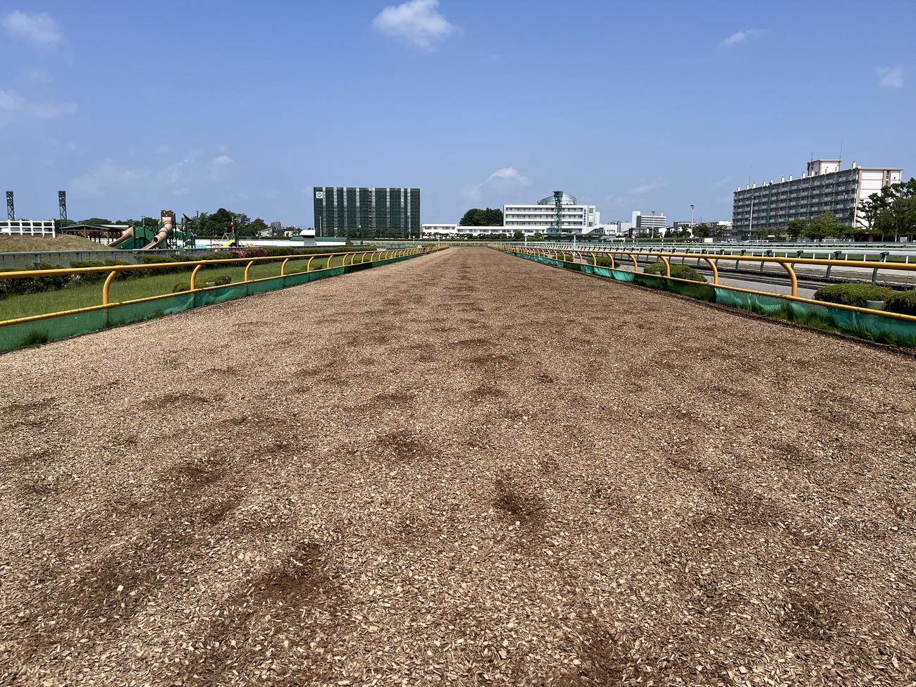函館競馬場のウッドコース