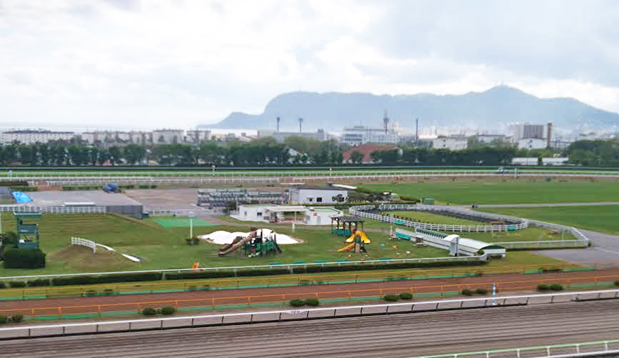 函館競馬場
