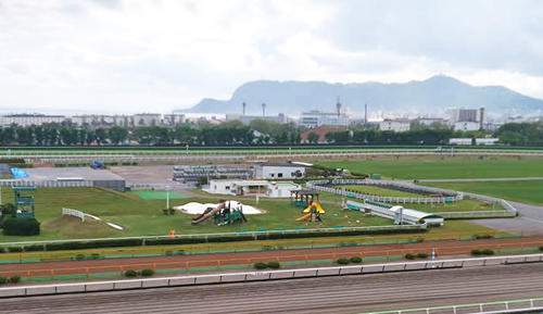 函館競馬場