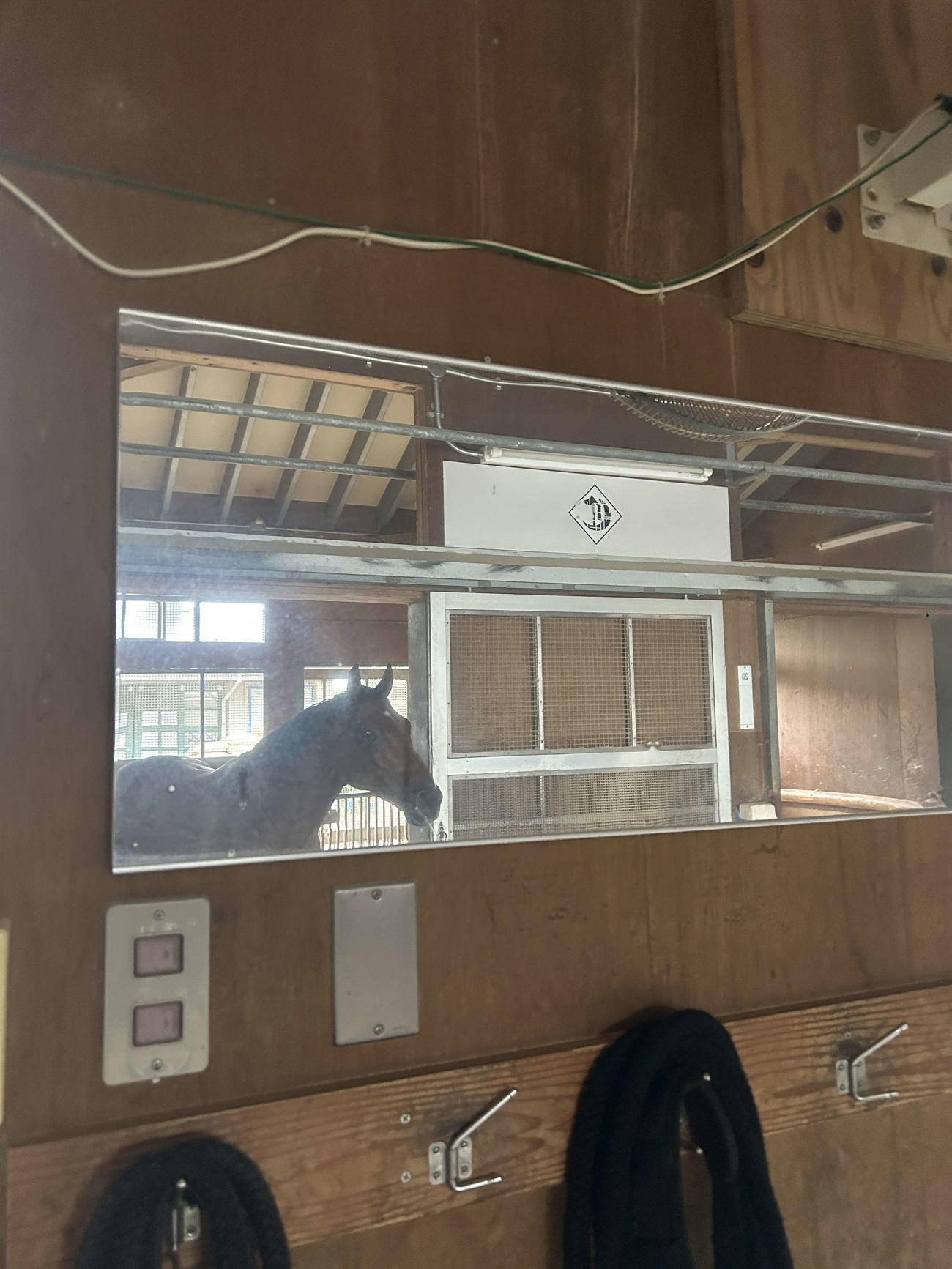 千田厩舎の馬房の前に設置されている鏡（撮影・原田竣矢）