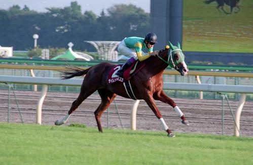 1998年毎日王冠　1番人気に応え逃げ切り勝ちを決めた武豊とサイレンススズカ