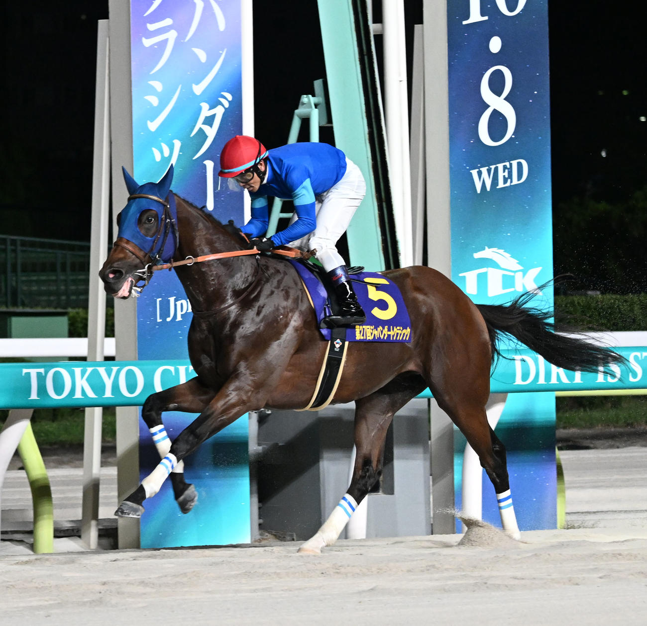 ジャパンダートCを制したナルカミと戸崎騎手（2025年10月8日撮影）