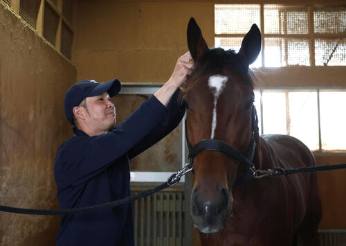 担当馬のスラッシュをブラッシングする竹内彰秀調教助手（撮影・白石智彦）