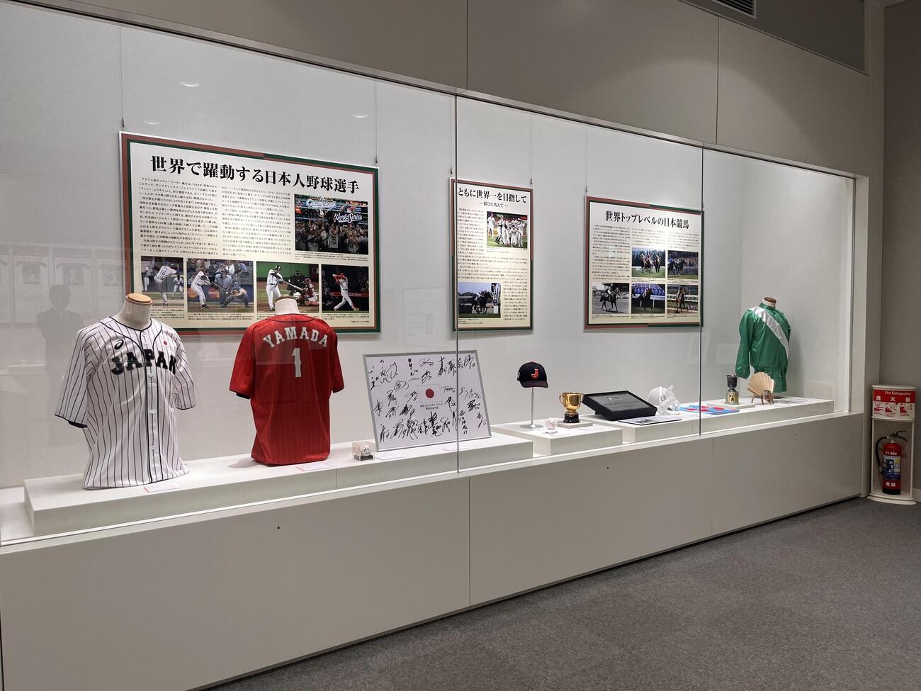JRA競馬博物館の特別展「競馬と野球　記録と記録のスポーツ」で展示される、世界の競馬と野球を伝えるコーナー＝2026／05／31