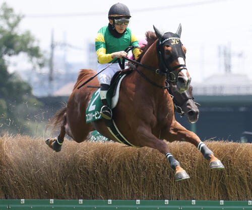 東京JSで障害を飛越するスズカハービンと難波剛健騎手