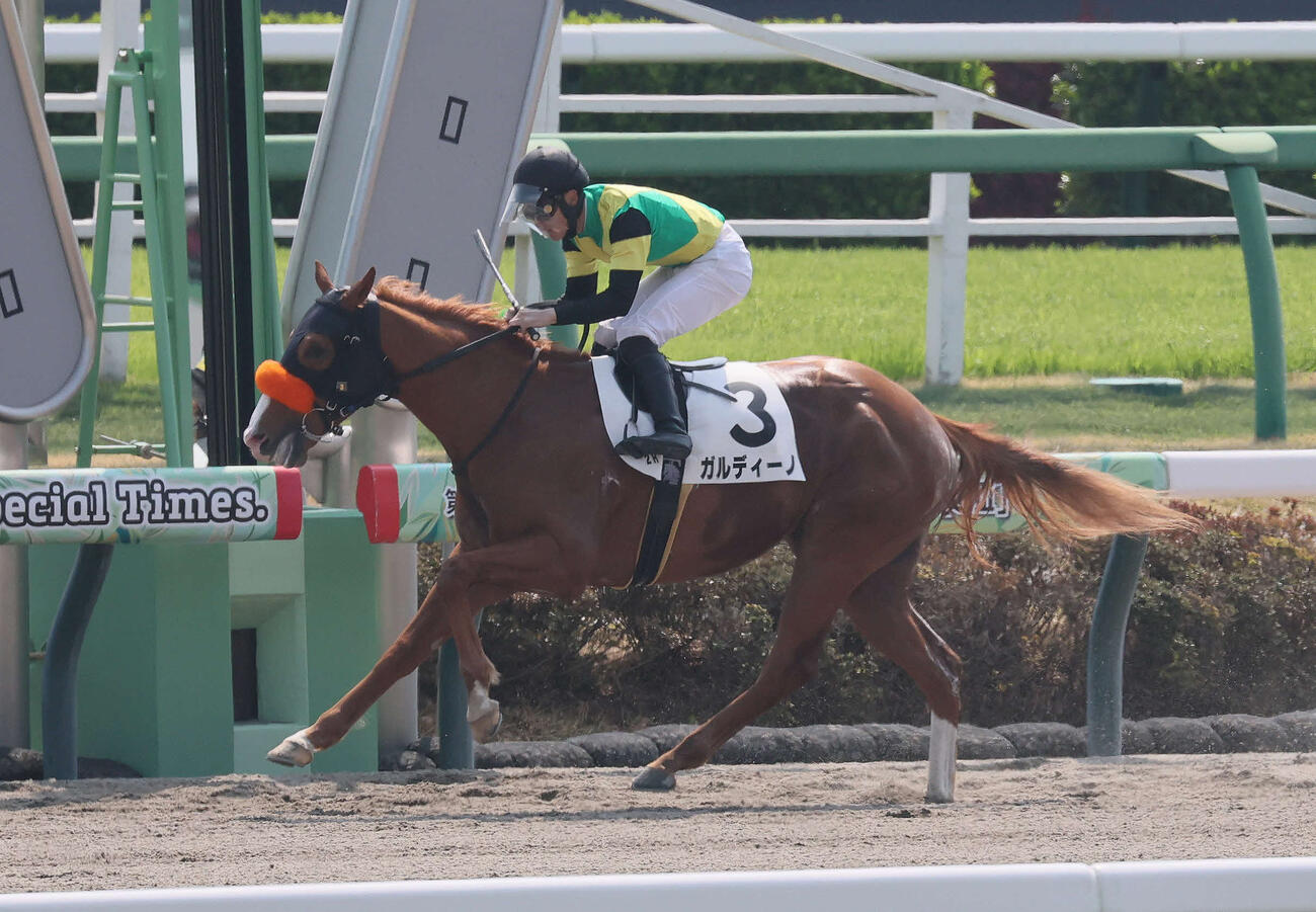 3歳未勝利戦を制したガルディーノと石田騎手（2026年3月29日撮影）