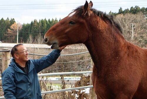 北海道乙部町で輓馬の生産育成を行う澤井節夫さん