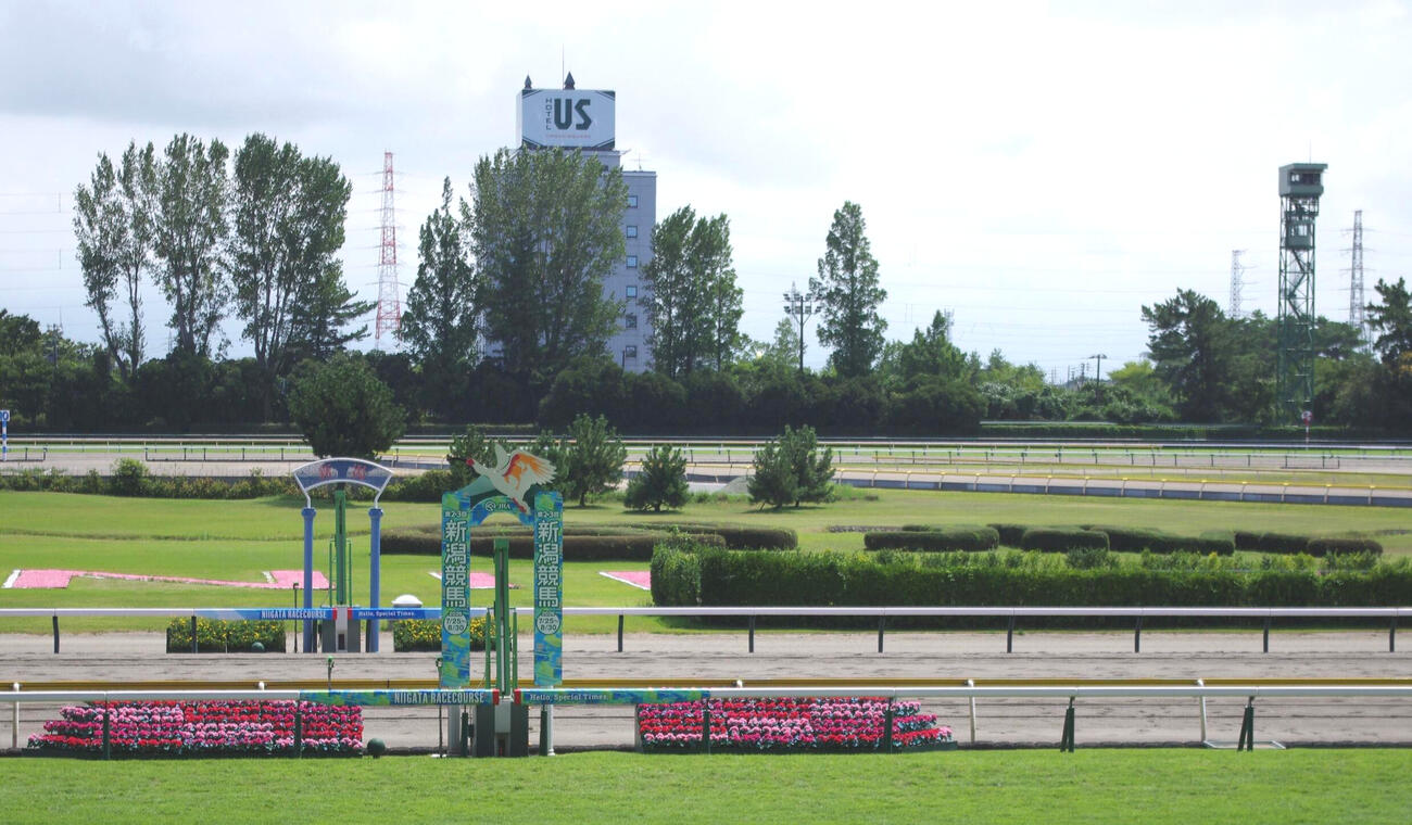 新潟競馬場ゴール板の向こう側に見える「ホテルUs競馬場」（撮影・奥岡幹浩）