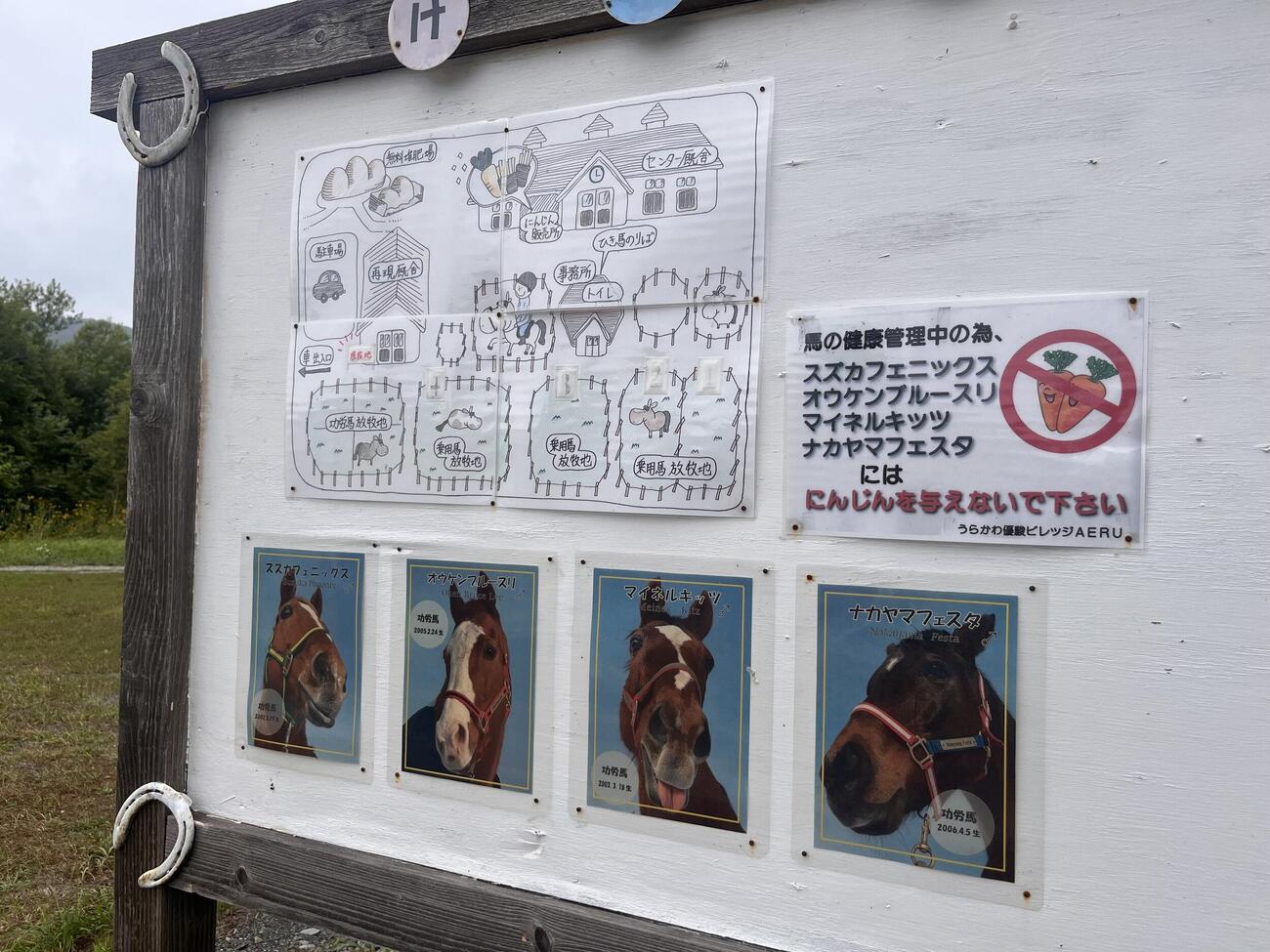 「うらかわ優駿ビレッジAERU」でけい養されるG1馬4頭を説明する掲示板（撮影・桑原幹久）