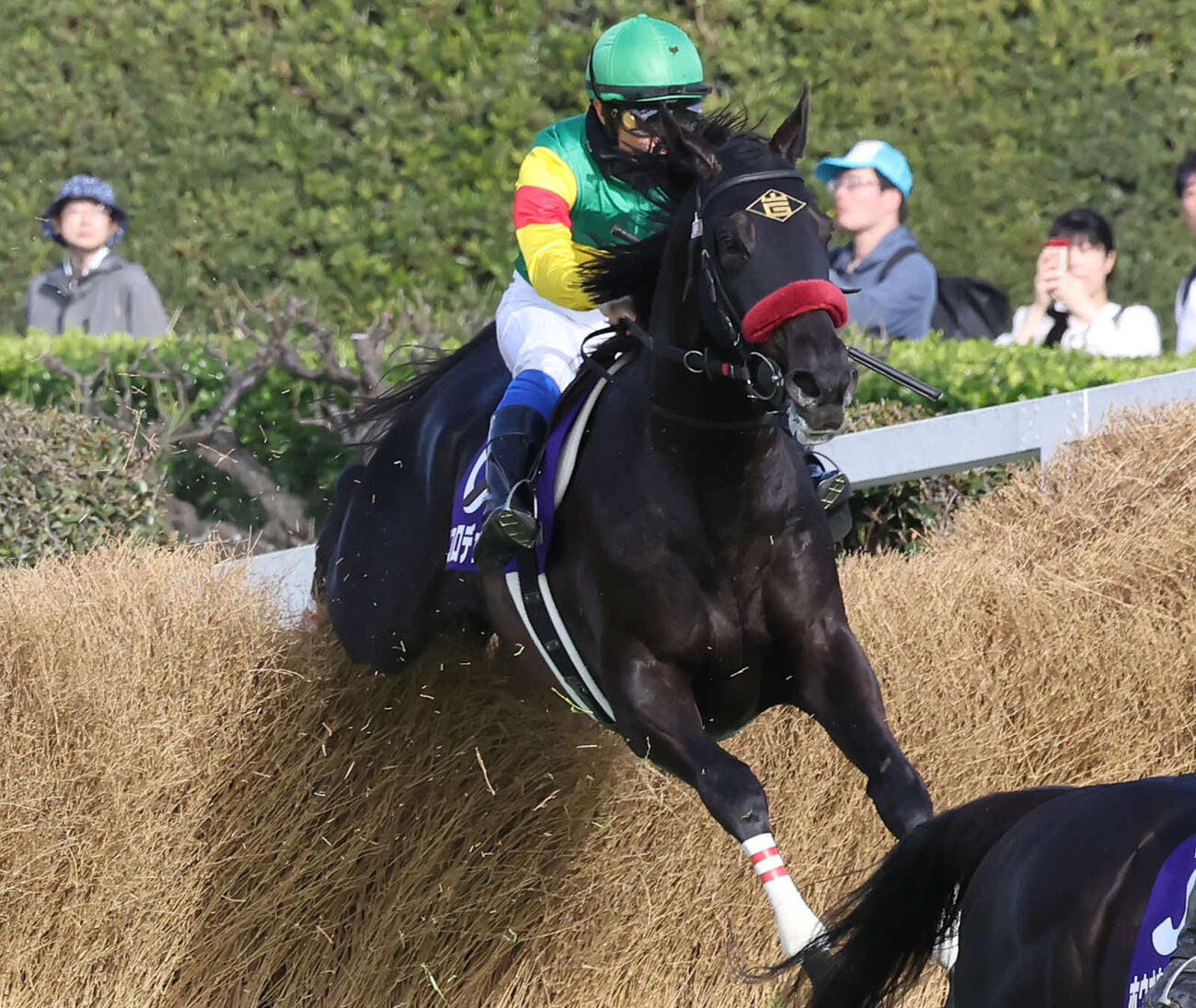 中山11R、中山GJをレコードで制したエコロデュエルと草野騎手（撮影・丹羽敏通）