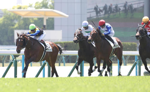 22日、京都6Rを逃げ切ったゲヴィナーと今村聖奈騎手（左）