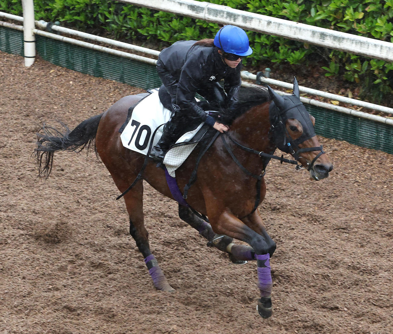 26日、今村騎手を背に坂路を単走で追い切るアドマイヤビルゴ