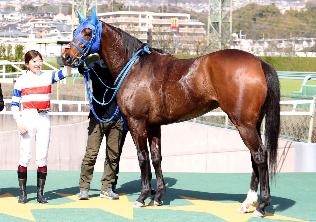 3月11日阪神、3歳未勝利戦を制したヨウシタンレイと今村聖奈騎手
