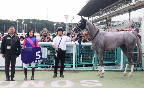 13日、園田8R甲山特別をメイショウゴルシで勝利した今村聖奈騎手