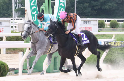 7月27日、園田8Rの藻川特別を制したエナジーポコアポコと今村聖奈騎手（右）