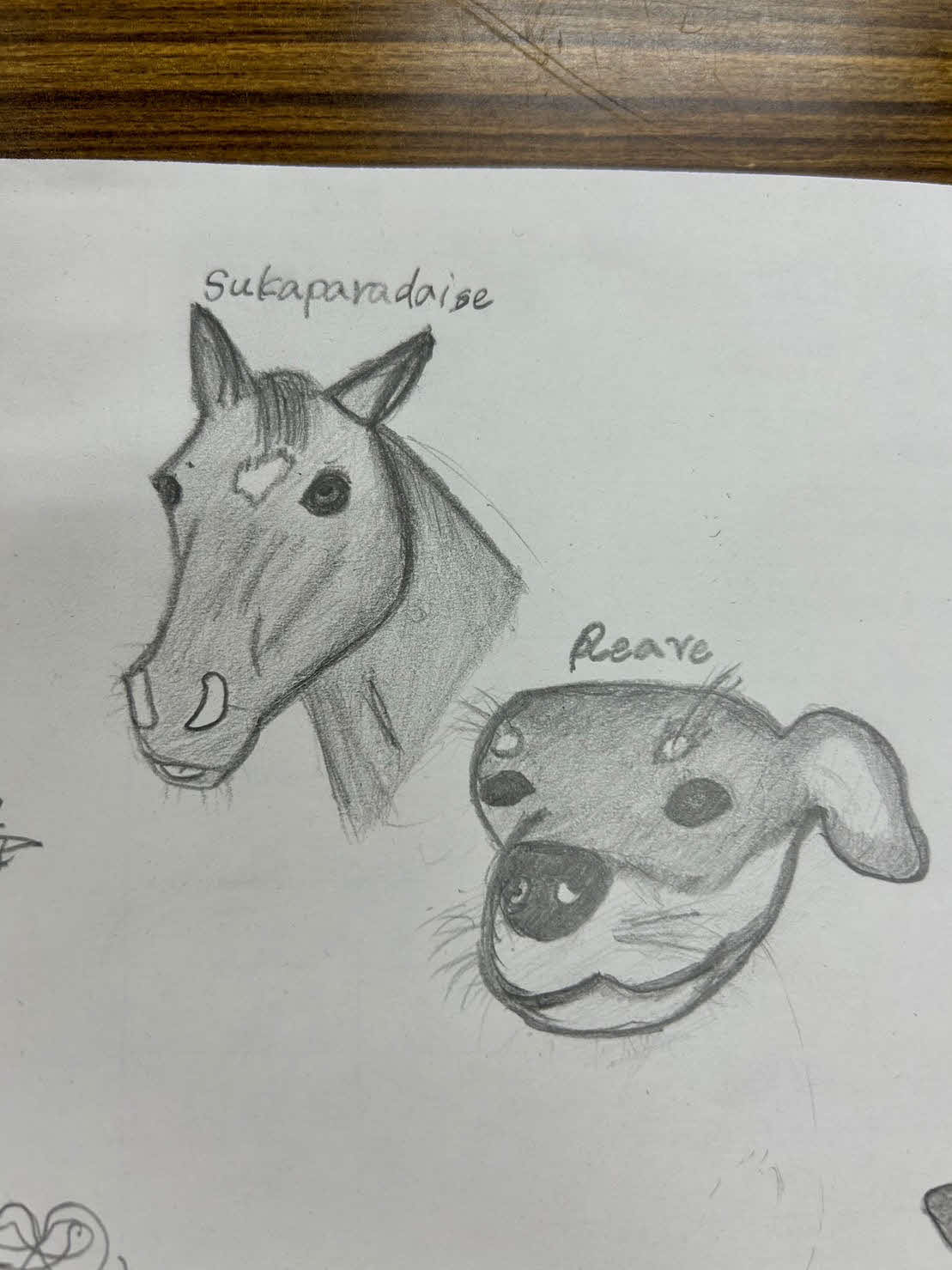 スカパラダイスと愛犬リーベの絵を描いてみました！（本人提供）