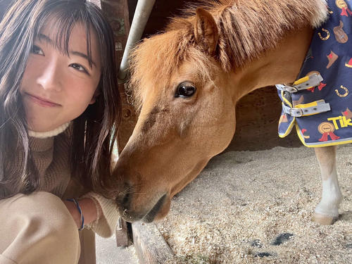 ジョッキーベイビーズと言えばポニー！かわいいですよね（本人提供）