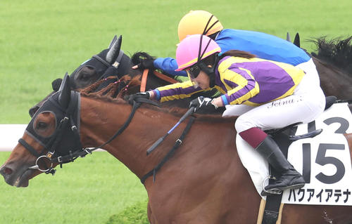 6月18日、阪神1Rでハクアイアテナに黒い手袋をつけて騎乗し、勝利を挙げた今村聖奈騎手