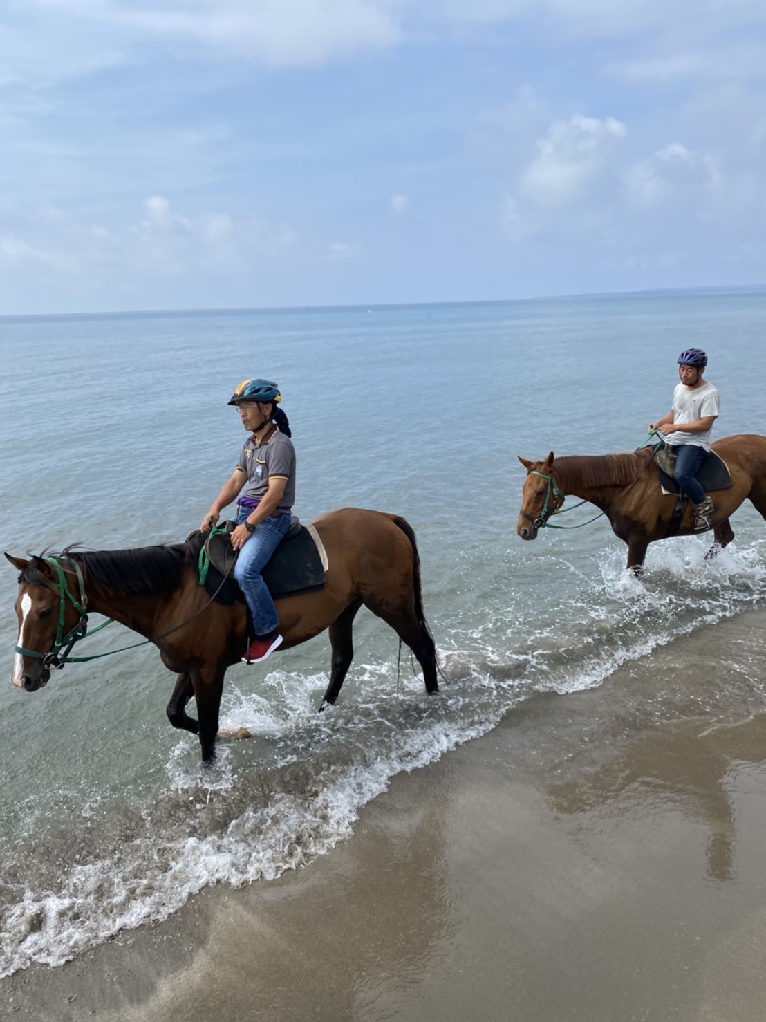 海にもすっかり慣れたレッドアルティスタ（左）とデッセシャテーヌ（角居氏提供）