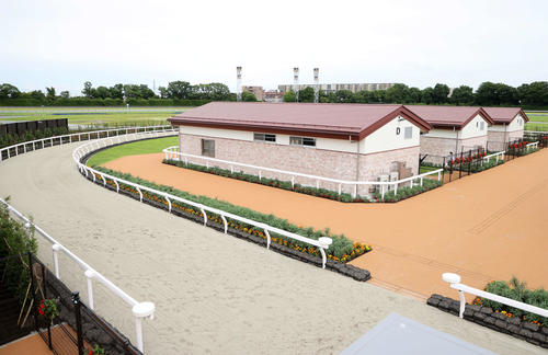 東京競馬場にできた国際厩舎（22年6月18日撮影）
