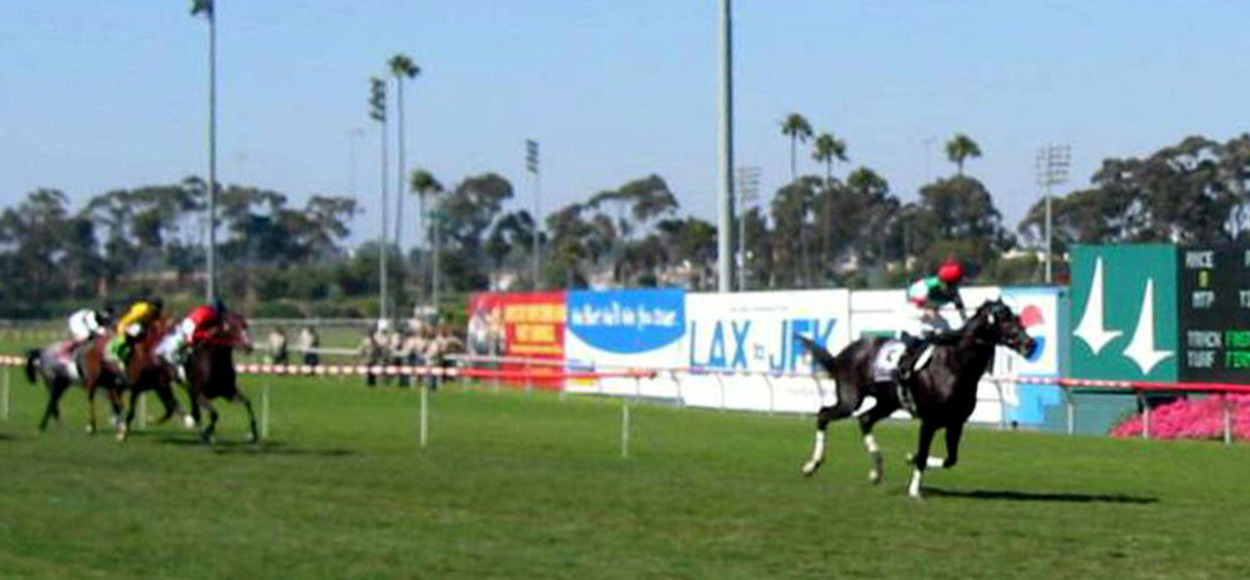 05年、アメリカンオークスを4馬身差で快勝したシーザリオ
