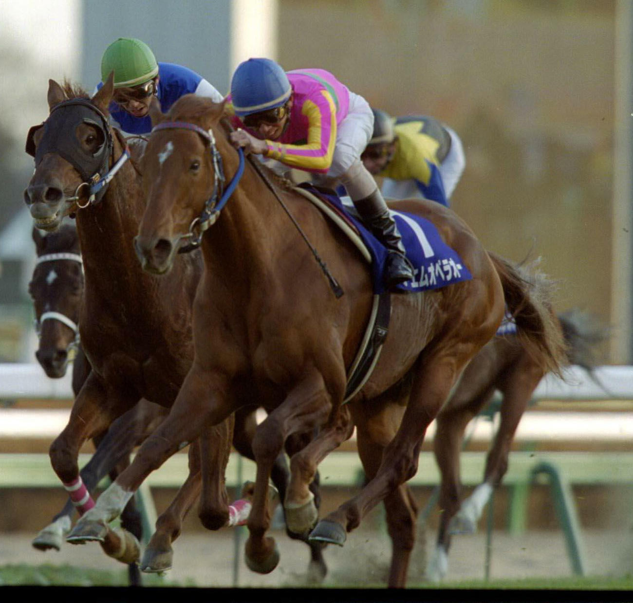 00年の有馬記念を制したテイエムオペラオー